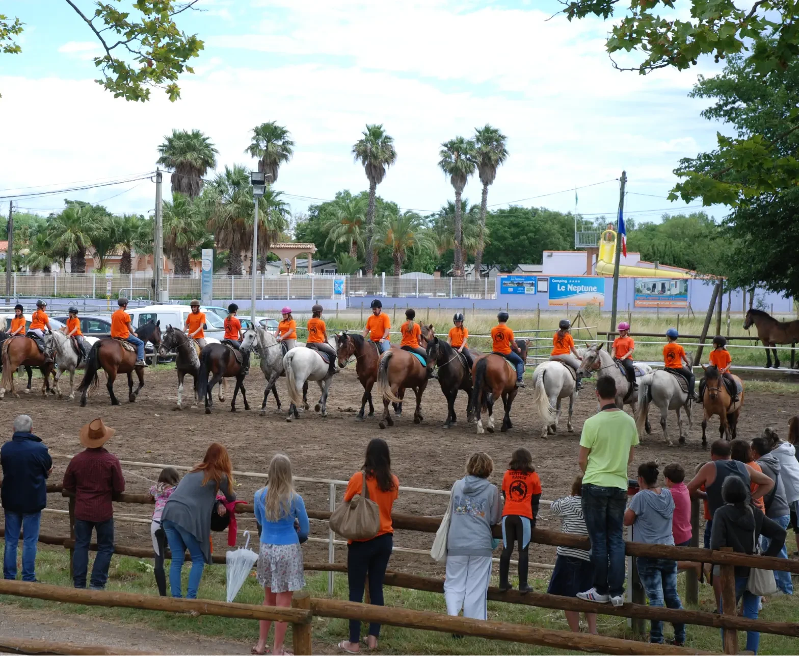 entrainement chevaux carriere