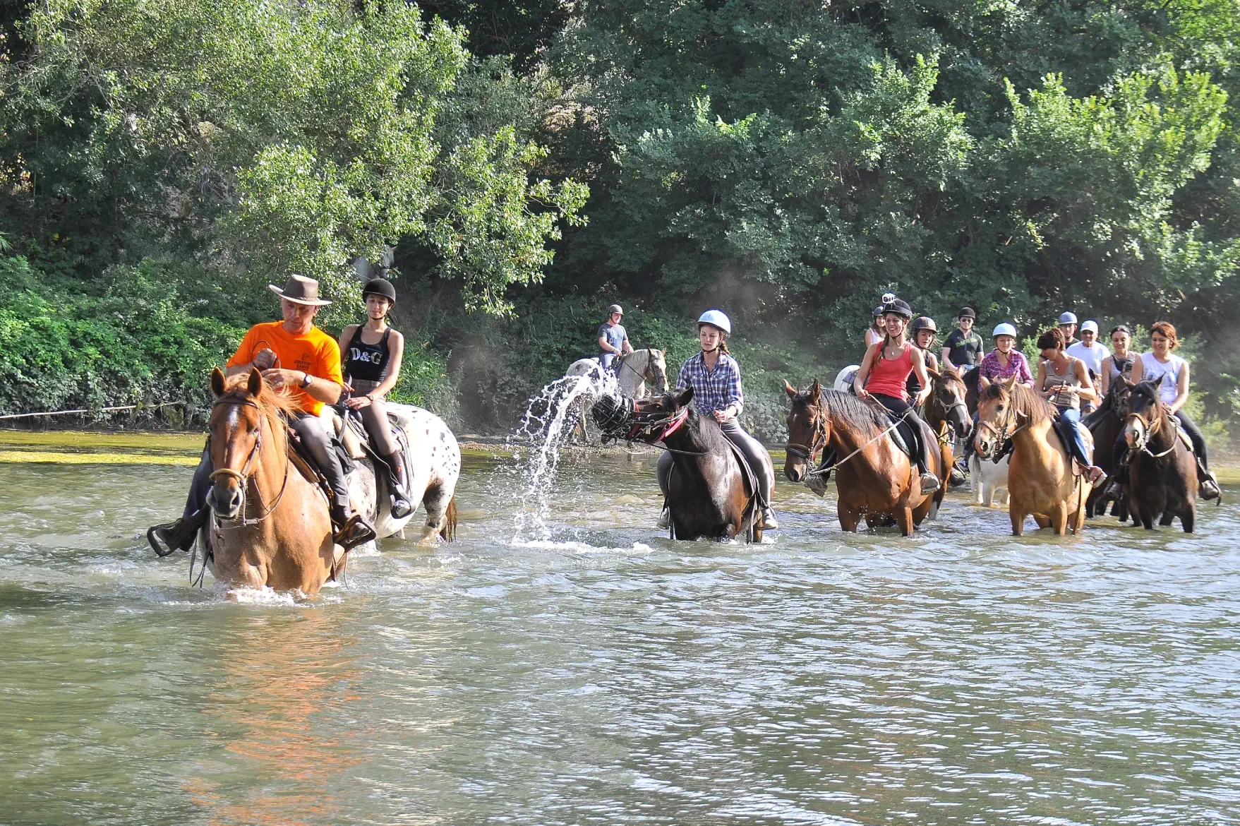 traversee le tech chevaux